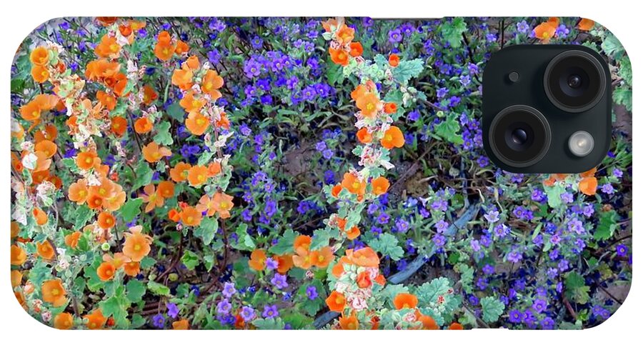 Arizona iPhone Case featuring the photograph Desert Wildflowers 2 by Judy Kennedy