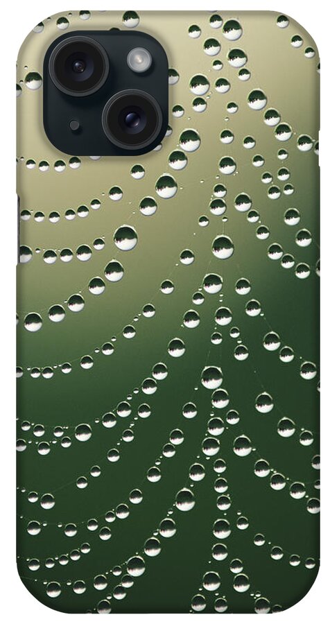 Black Color iPhone Case featuring the photograph Dew On Spider Web by Tony Sweet