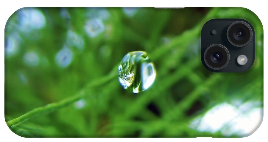 Pine Needle iPhone Case featuring the photograph Dewdrop Reflection by D Hackett
