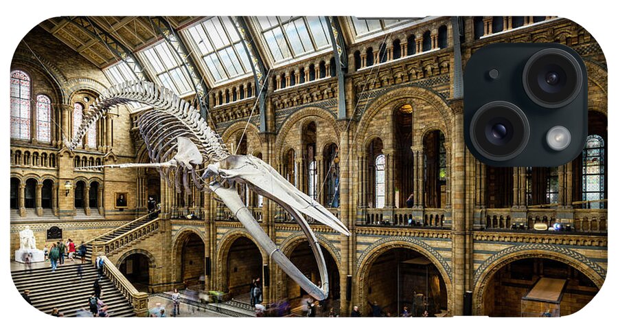 Estock iPhone Case featuring the digital art Dinosaur In Museum Hall by Arcangelo Piai