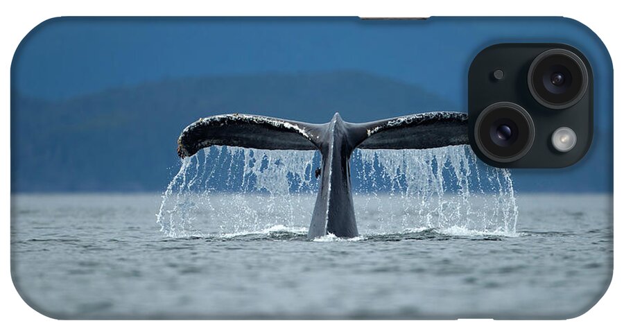 Diving Into Water iPhone Case featuring the photograph Diving Humpback Whale, Alaska by Paul Souders