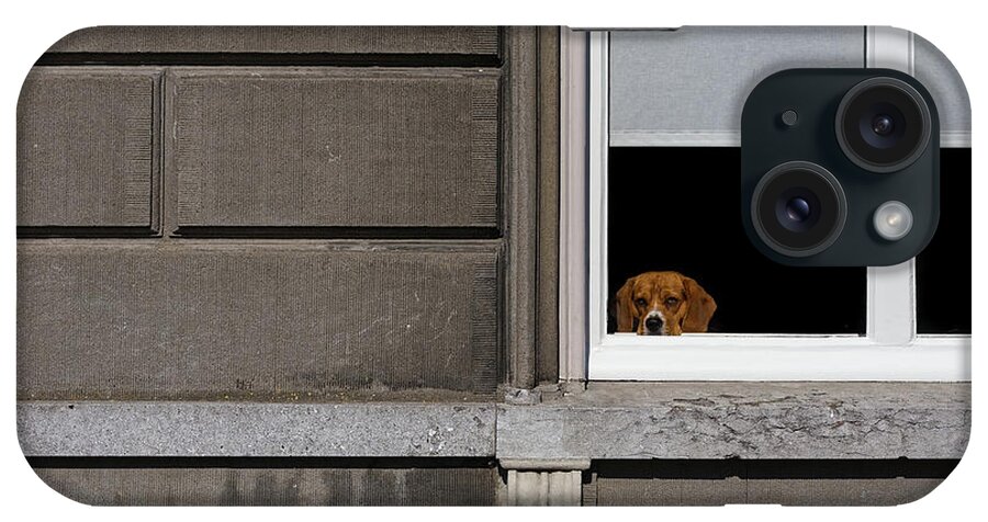 Dog iPhone Case featuring the photograph Dog in the Window by Thomas Hall