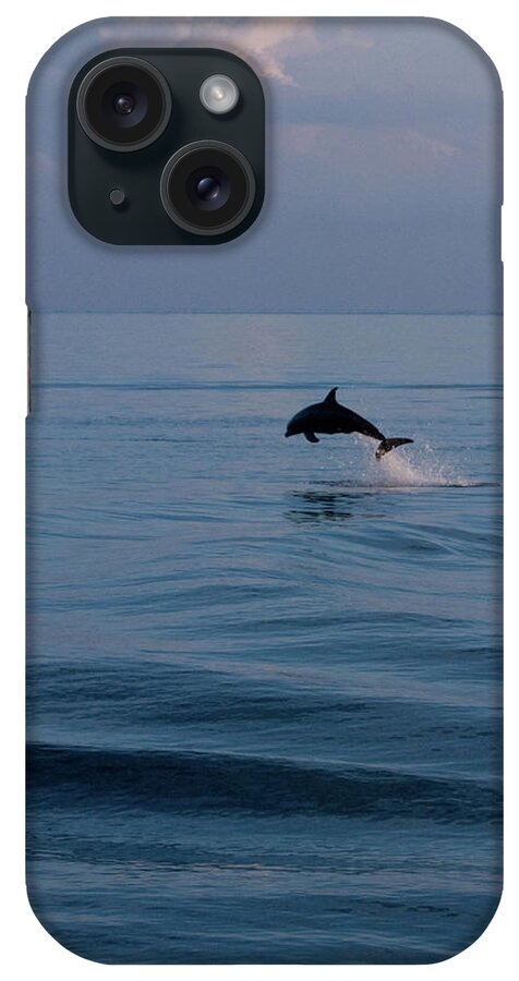 Dawn iPhone Case featuring the photograph Dolphin Leaping by Rosie Herbert Photography
