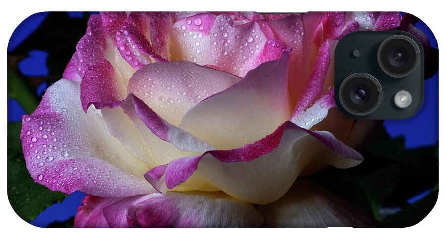 White iPhone Case featuring the photograph Double Delight by Doug Norkum