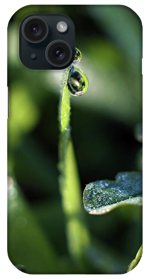 Dew Drops iPhone Case featuring the photograph Double Vision by Michelle Wermuth