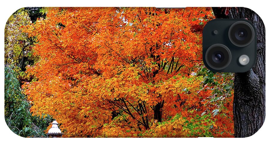 Autumn iPhone Case featuring the photograph Down The Avenue in Autumn by Linda Stern