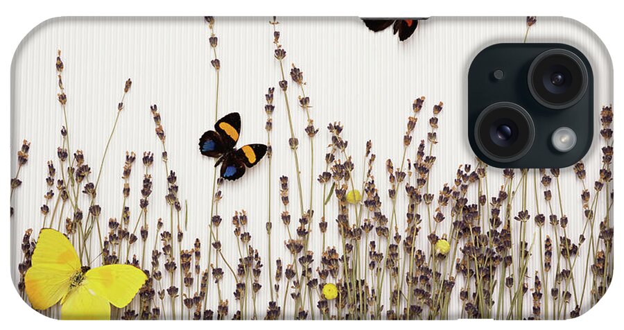 Insect iPhone Case featuring the photograph Dried Lavender by Sam+yvonne