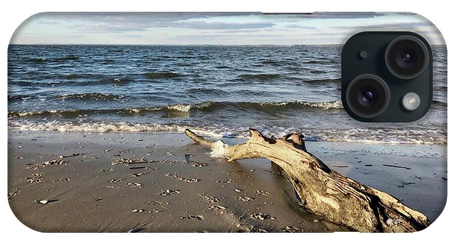 Driftwood iPhone Case featuring the photograph Driftwood Along Port Royal Sound by Dennis Schmidt