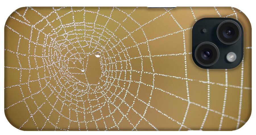 Outdoors iPhone Case featuring the photograph Drops Of Dew In Spiders Web by Sylvain Masson