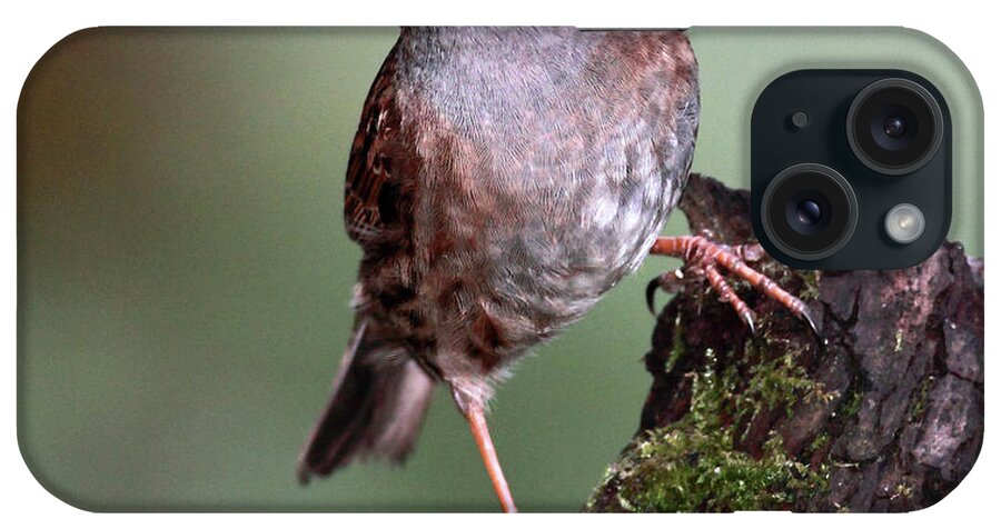 Animal Themes iPhone Case featuring the photograph Dunnock by Grant Glendinning Photography