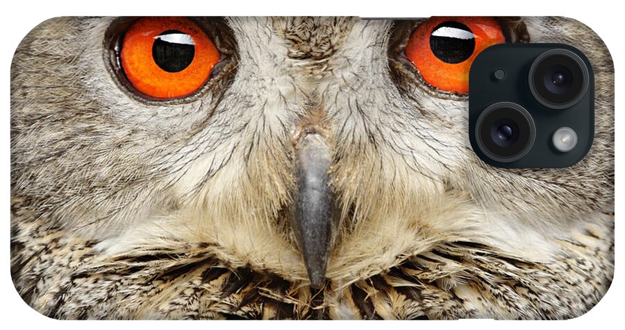 Bird Of Prey iPhone Case featuring the photograph Eagle Owl Close Up by Andyworks