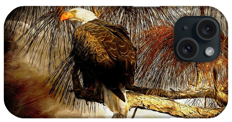 Eagle iPhone Case featuring the photograph Eagle Painterly by Deborah Benoit
