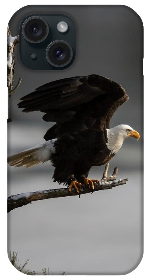 Bald Eagle iPhone Case featuring the photograph Eagle Take Off by Mark Kiver