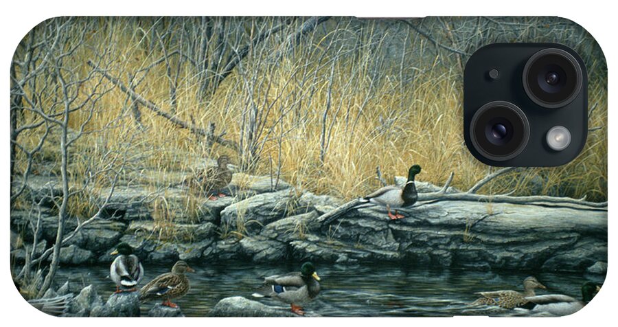 A Group Of Mallards Birds iPhone Case featuring the painting Early Morning Mallards by Jeff Tift