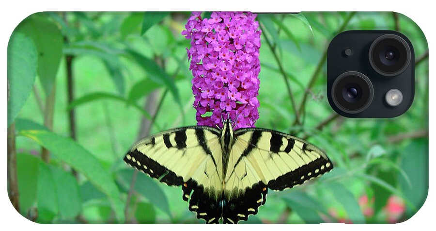 Eastern Tiger Swallowtail iPhone Case featuring the photograph Eastern Tiger Swallowtail by Audrey