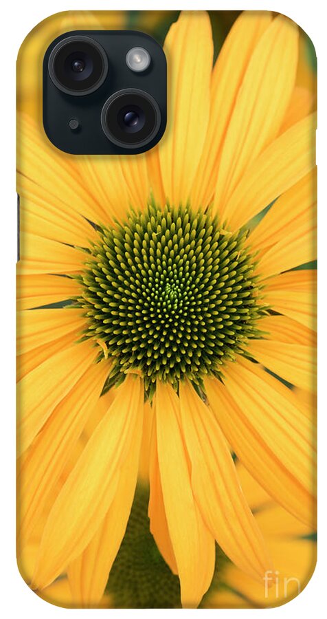 Echinacea Now Cheesier iPhone Case featuring the photograph Echinacea Now Cheesier Flower by Tim Gainey