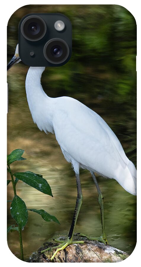 Egret Af 1 iPhone Case featuring the photograph Egret Af 1 by Robert Michaud