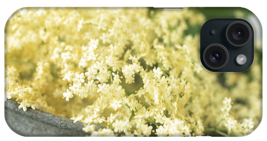 Wine iPhone Case featuring the photograph Elderflowers by John Heseltine/science Photo Library