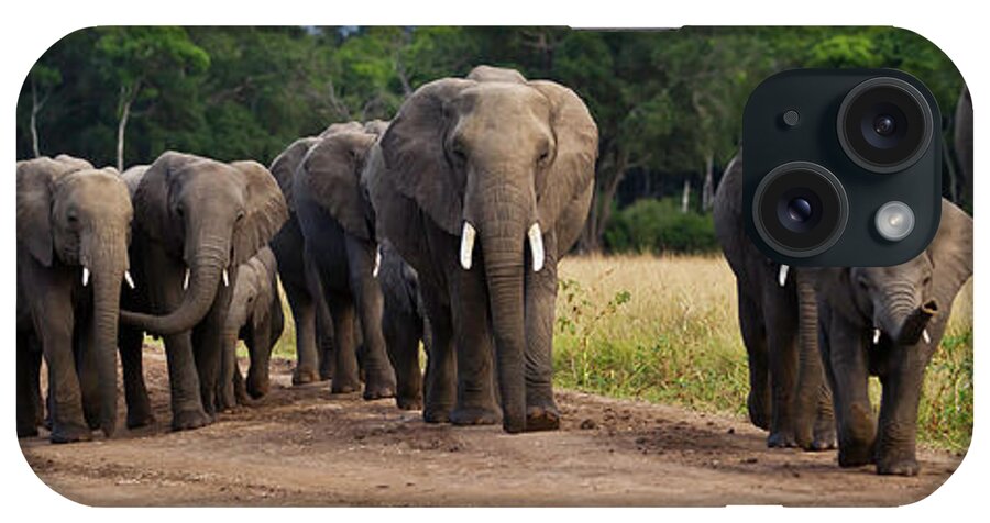 Kenya iPhone Case featuring the photograph Elephant Herd Walking Out Of The Forest by Manoj Shah
