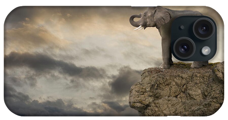 Risk iPhone Case featuring the photograph Elephant On The Edge Of A Cliff by John Lund