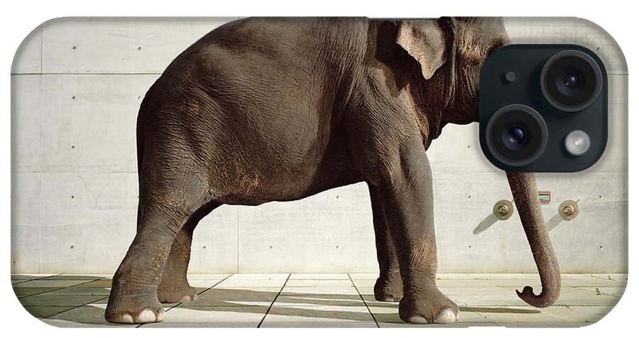 Shadow iPhone Case featuring the photograph Elephant Standing Infront Of Cement Wall by Matthias Clamer