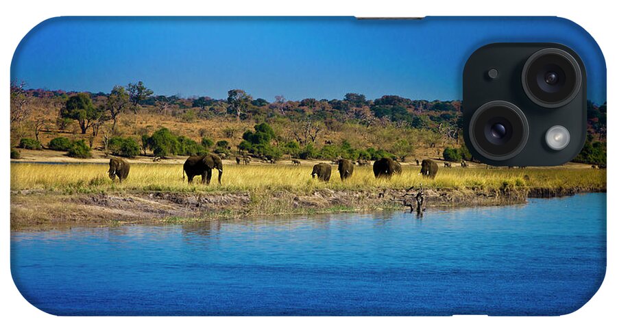 Scenics iPhone Case featuring the photograph Elephants By Chobe River, Chobe by Thomas Varley