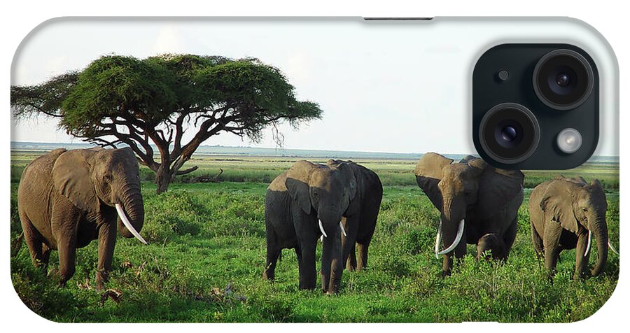 Kenya iPhone Case featuring the photograph Elephants In Kenya by Mseidelch