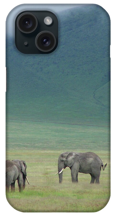 Grass iPhone Case featuring the photograph Elephants In Ngorongoro Crater by By Geof Wilson