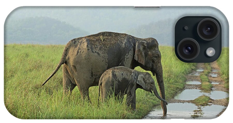 Grass iPhone Case featuring the photograph Elephants by Santanu Nandy