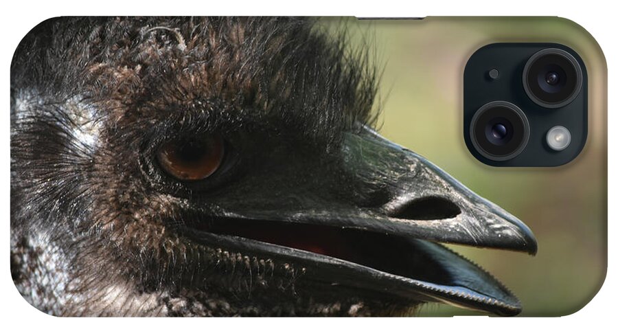 Emu Az17 1 iPhone Case featuring the photograph Emu Az17 1 by Robert Michaud