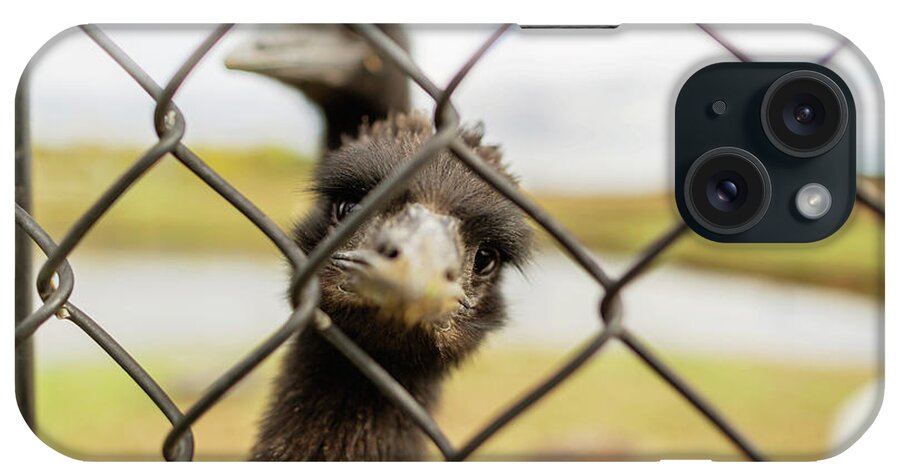 Emus iPhone Case featuring the photograph Emus Seen Through Chainlink Fence At Farm by Cavan Images
