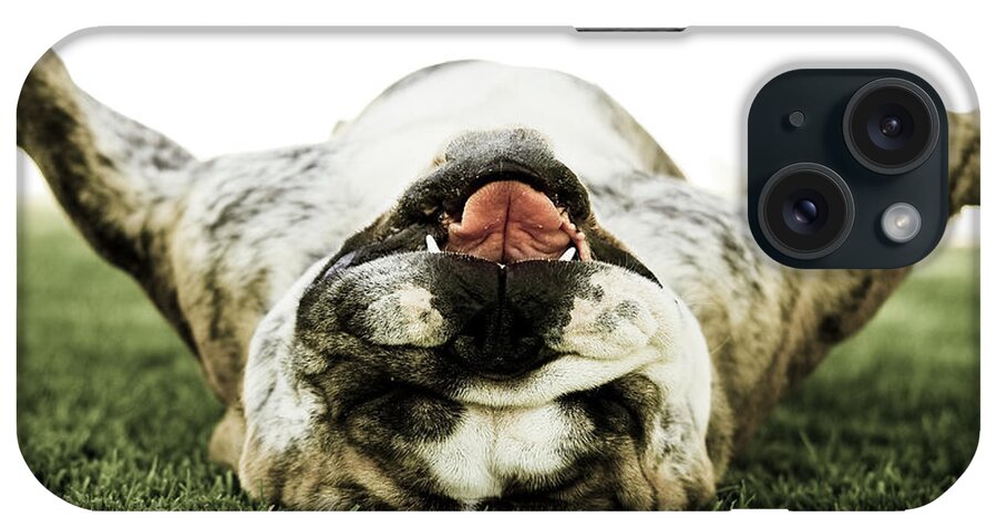 Pets iPhone Case featuring the photograph English Buldog by Chn. Girasolo