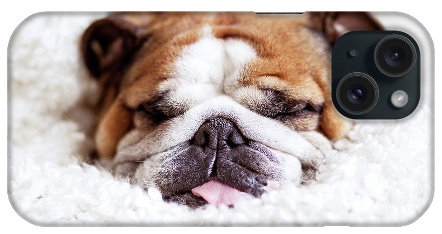 Pets iPhone Case featuring the photograph English Bulldog Sleeping In Fluffy by Hanneke Vollbehr