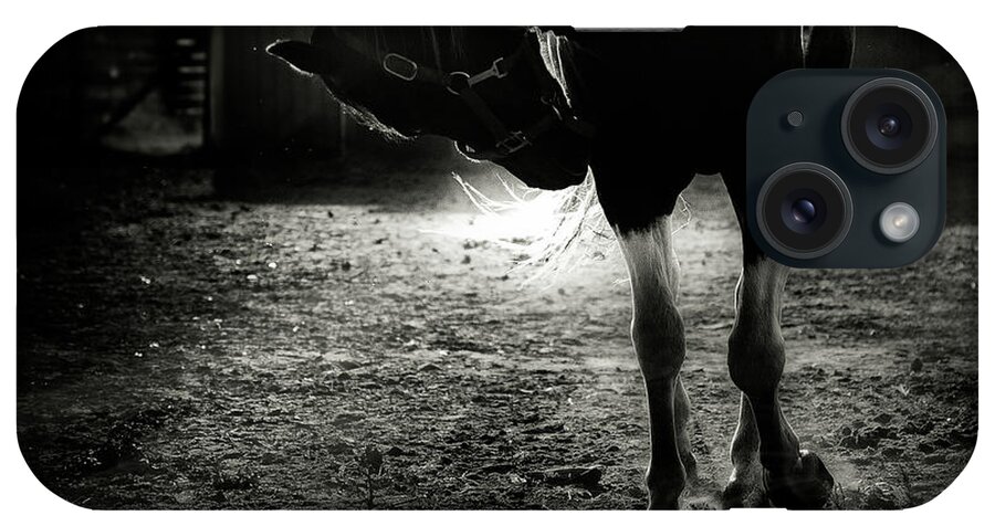 Horse iPhone Case featuring the photograph Equestrian Illumination by Brooke Pennington