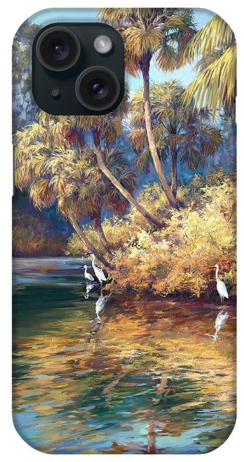 Romantic Landscape iPhone Case featuring the painting Estero River by Laurie Snow Hein