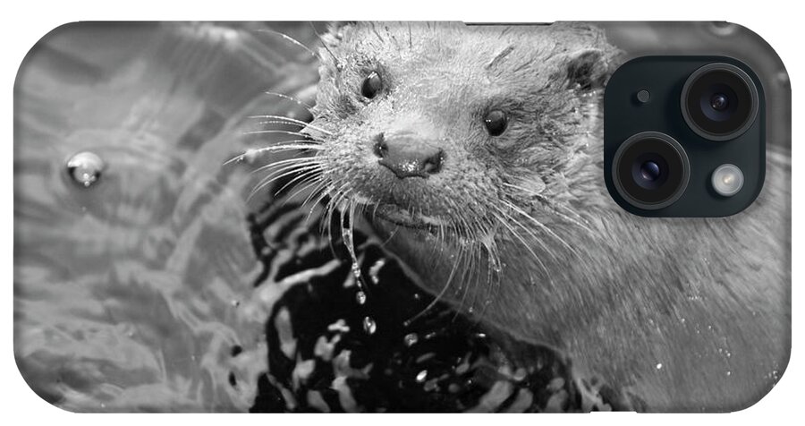 Ambleside iPhone Case featuring the photograph European Otter by Science Photo Library