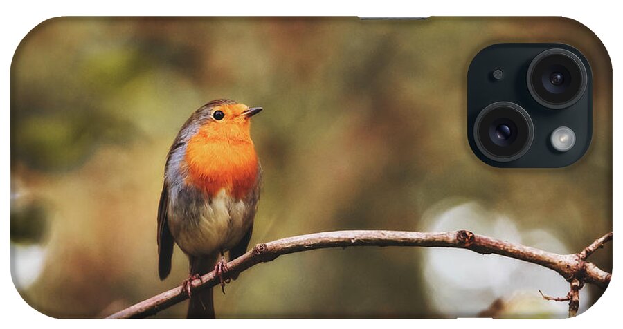 Robin iPhone Case featuring the photograph European Robin - Erithacus rubecula by Marc Braner