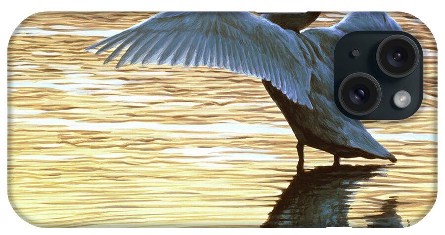 A Trumpeter Swan Spreads Its Wings In The Early Evening Light. iPhone Case featuring the painting Evening Reflections by Ron Parker