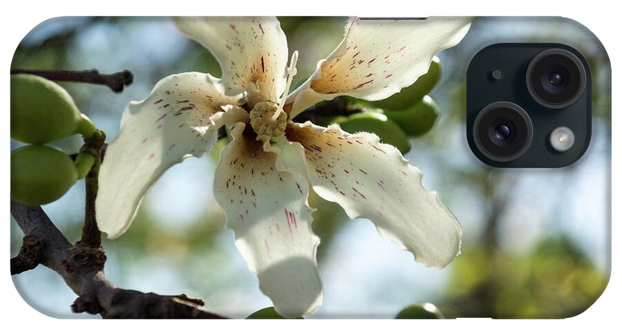 Georgia Mizuleva iPhone Case featuring the photograph Exotic Flower - Blooming Silk Floss Tree Ceiba Speciosa by Georgia Mizuleva