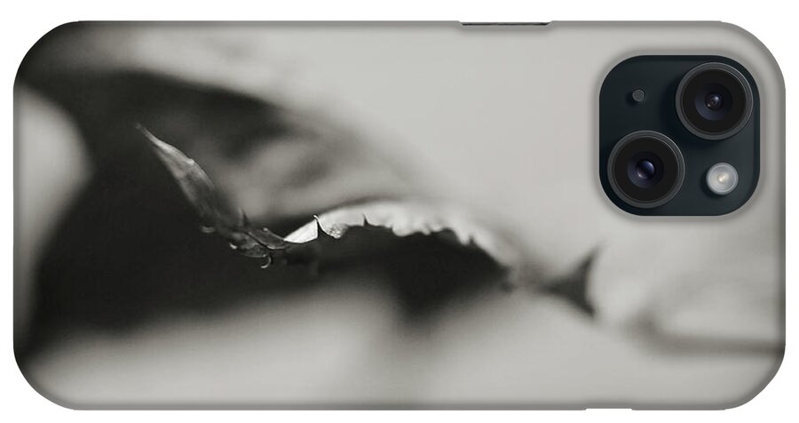 Abstract iPhone Case featuring the photograph Extend by Michelle Wermuth