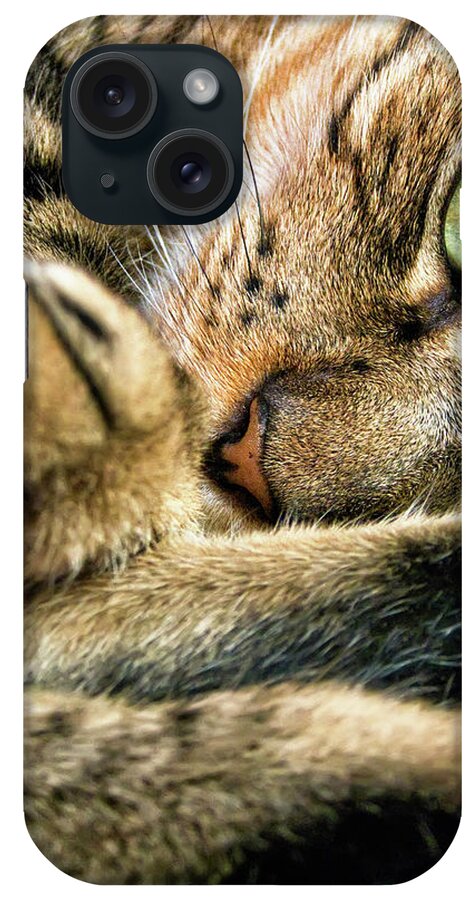 Animal Themes iPhone Case featuring the photograph Eye Cat by Ramón Espelt Photography