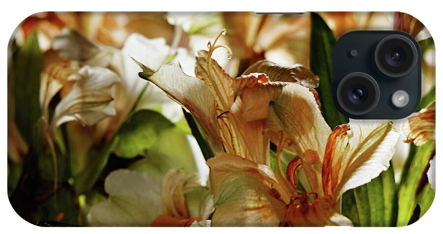 Lily iPhone Case featuring the photograph Faded Lilies Abstract by Jeff Townsend
