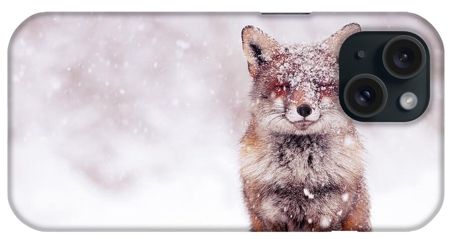 Red Fox iPhone Case featuring the photograph Fairytale Fox Series - Happy Fox by Roeselien Raimond