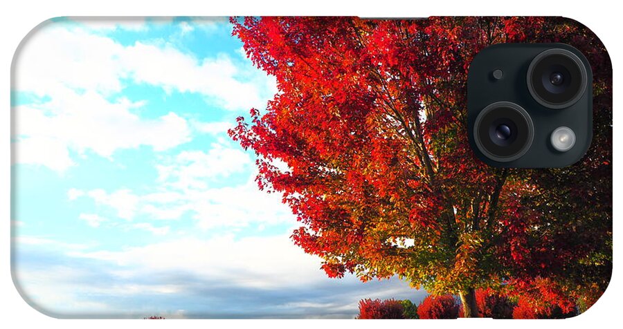 Season iPhone Case featuring the photograph Fall Sunset by Richard Thomas