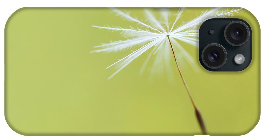 Motion iPhone Case featuring the photograph Falling Softly by Natalia Campbell Of Nc Photography