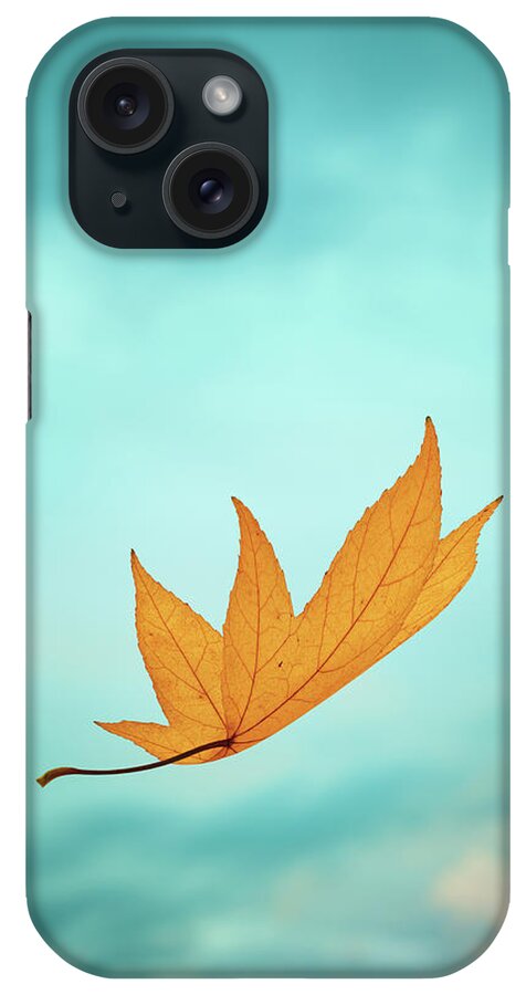 Curve iPhone Case featuring the photograph Falling Yellow Autumn Leaf by Borchee