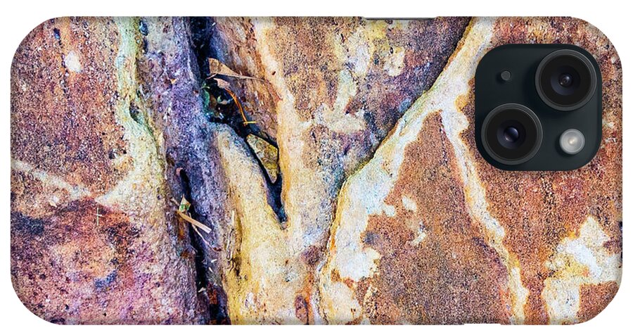 Abstract iPhone Case featuring the photograph Fanciful rock by Segura Shaw Photography