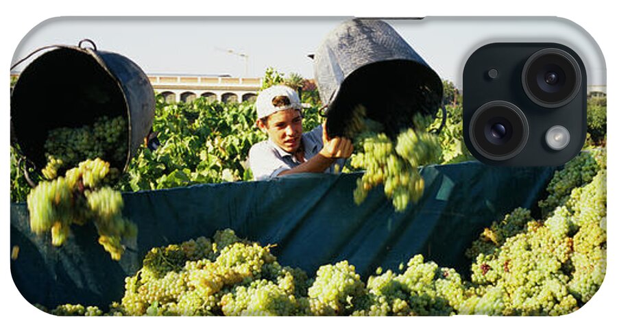Photography iPhone Case featuring the photograph Farmers Pouring Grapes From Buckets by Panoramic Images