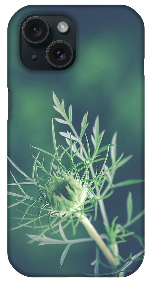 Nature iPhone Case featuring the photograph Fascinate by Michelle Wermuth