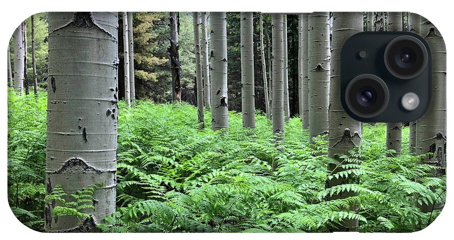 Arizona iPhone Case featuring the photograph Ferns in an Aspen Grove by Jeff Goulden